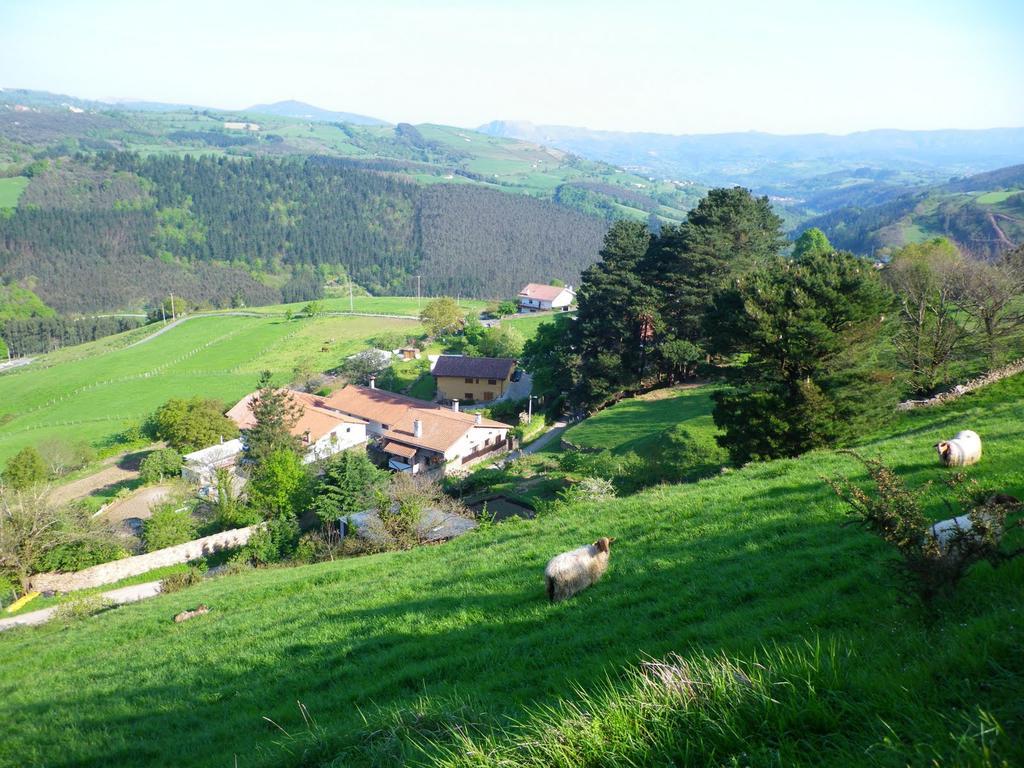 Hotel Gailurretan